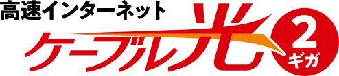 高速インターネット ケーブル光