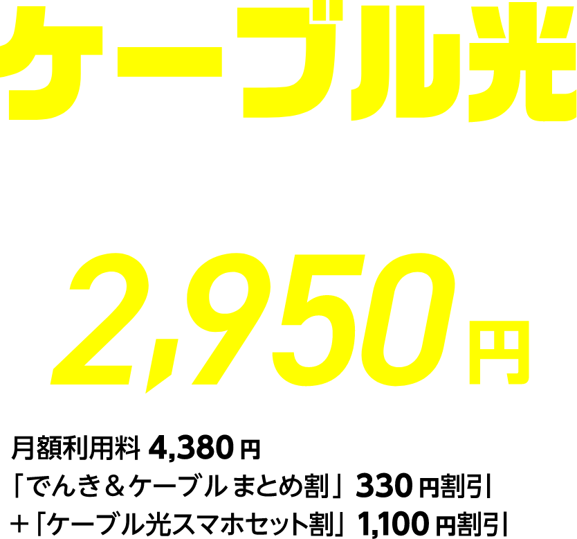 ケーブル光2ギガ 月額利用料2,950円 月額利用料4,380円 「でんき＆ケーブルまとめ割」330円割引 ＋ 「ケーブル光スマホセット割」1,100円割引
