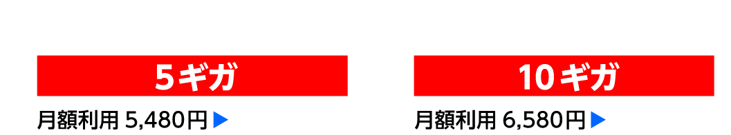 選べるプラン 5ギガ月額利用5,450円 10ギガ月額利用6,580円