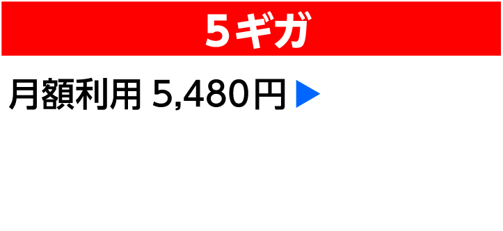 5ギガ月額利用5,450円 月額4,050円