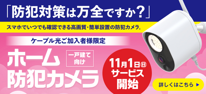 ホーム防犯カメラ
